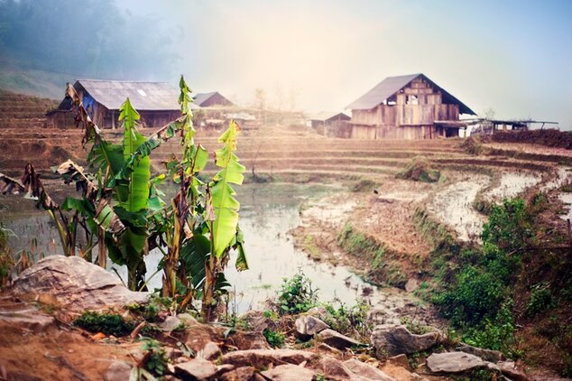 Nikola Boďová: Ryžové polia po zime. Sa Pa, Vietnam 2014 (copyright nikola bodova 2015)
