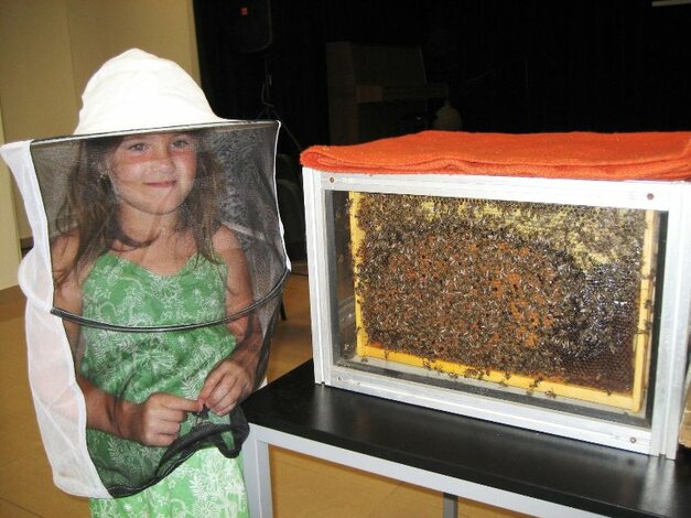 11. august 2017 - Zázračná včela (sviečky z vosku a živý úľ za sklom)