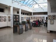 Výstava Tajomstvá hmyzu v galérii Regionart