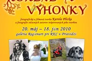 Etnologické projekty - plagáty Etnologické projekty - plagáty