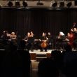 Malý komorný orchester, Nové Mesto nad Váhom