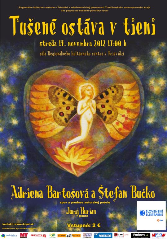 Tušené ostáva v tieni - plagát