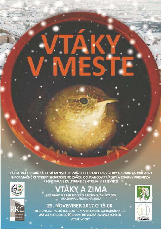 Vtáky a zima - plagát