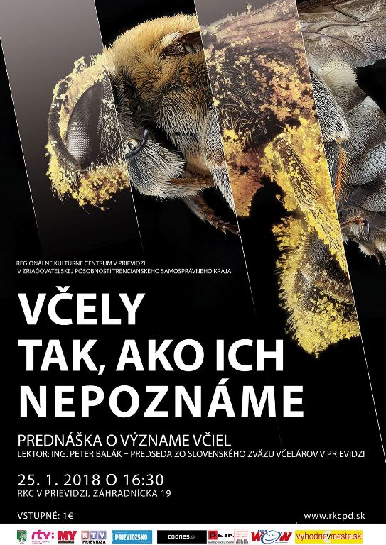 Vcely tak, ako ich nepozname - plagat