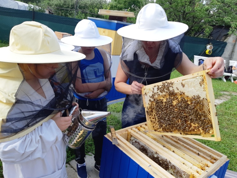 Hodina s kamarátkou včielkou