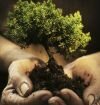 Envirofilm 2015