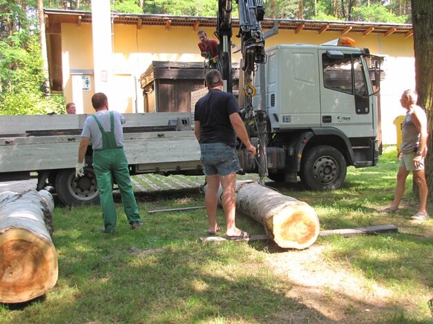 Veľké kmene stromov sa zmenia na sochy