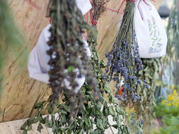 Z ľudovej lekárne - výstava - recepty, návody a postupy z ľudového liečiteľstva (28. - 29. 6. 2019)