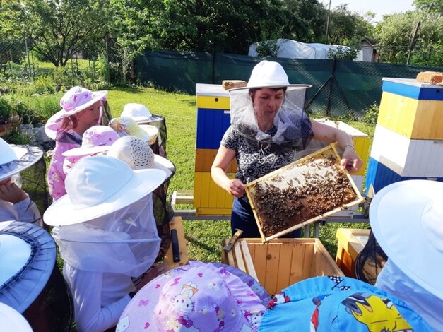 Zážitkový program vo včelej záhrade