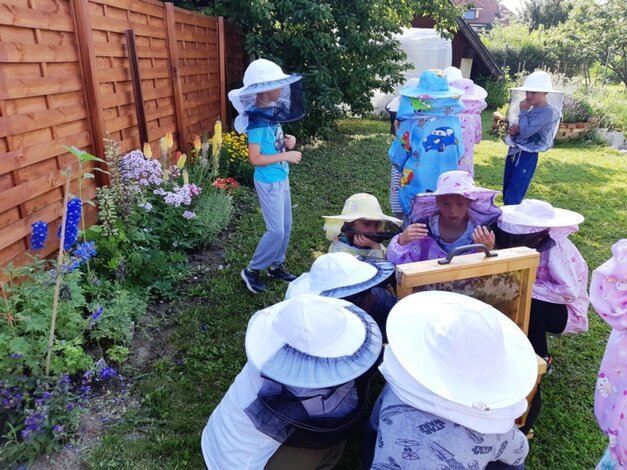 Zážitkový program vo včelej záhrade