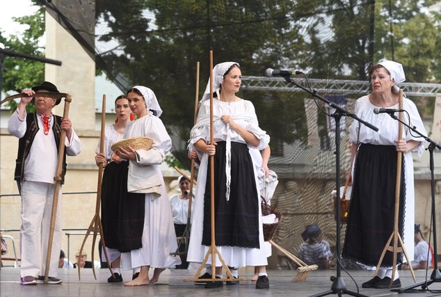 Stretnutie – doma a vo svete - program folklórnych skupín hornej Nitry - Boršina