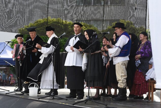 Stretnutie – doma a vo svete - program folklórnych skupín hornej Nitry - Košovan