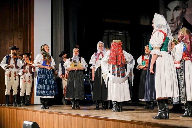 Vidiečanova habovka 2025 - fsk lubená - lubena4