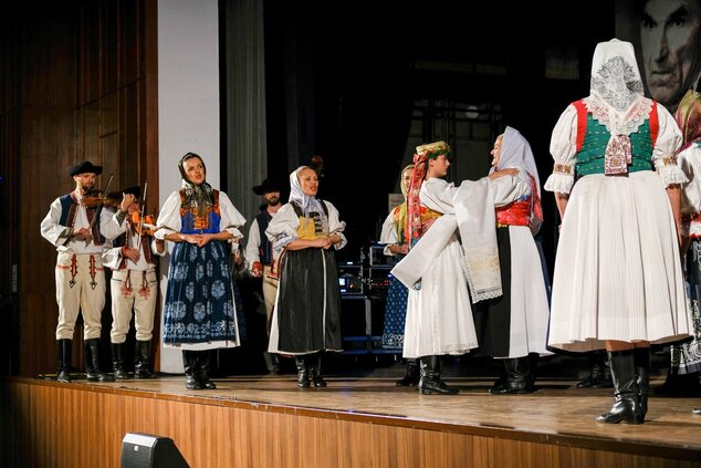 Vidiečanova habovka 2025 - fsk lubená - lubena5