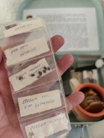 Výstava „spomienky v kufríku“ - 591156096_1319087090247801_4964792577101148306_n