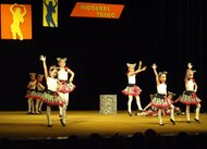 TS Chrumky, ZUŠ Bojnice - choreografia "Zebria párty"