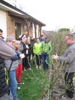 Teória a prax rezania ovocných stromov