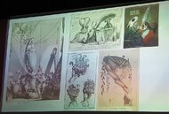 Dvorská kultúra za vlády Ľudovíta XIV. - úprava vlasov, parochne