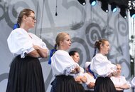 Stretnutie – doma a vo svete - program folklórnych skupín hornej Nitry - Borievka