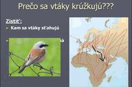 Letový plán vtákov Letový plán vtákov